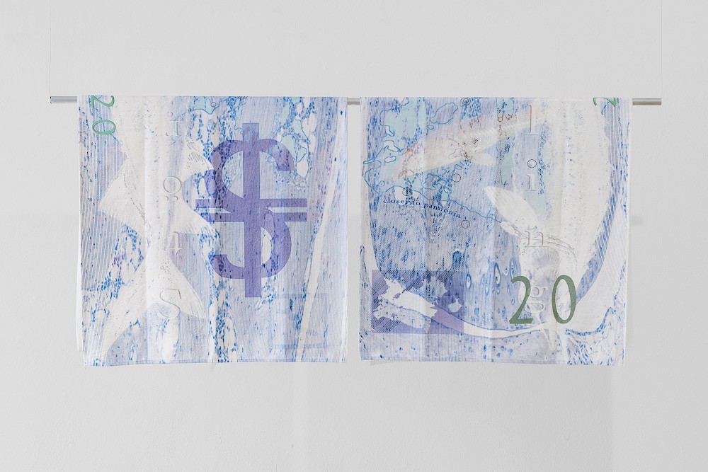 Danubian Towels; 100Stö.