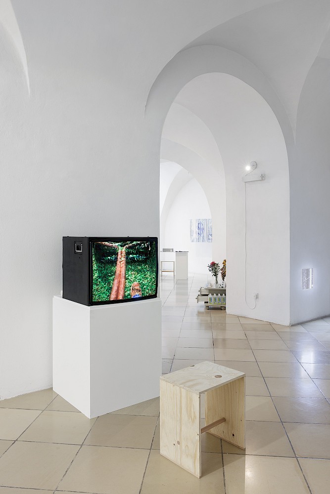 Backyard Economy II (Diane Germain mowing) und Backyard Economy I