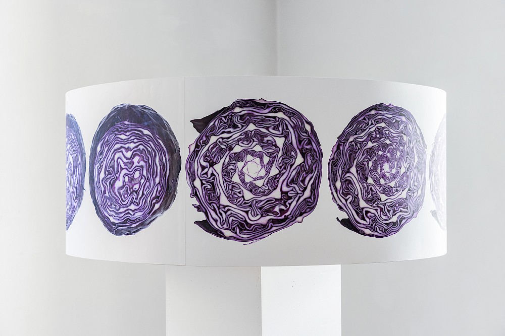 Abstraktion und Ökonomie