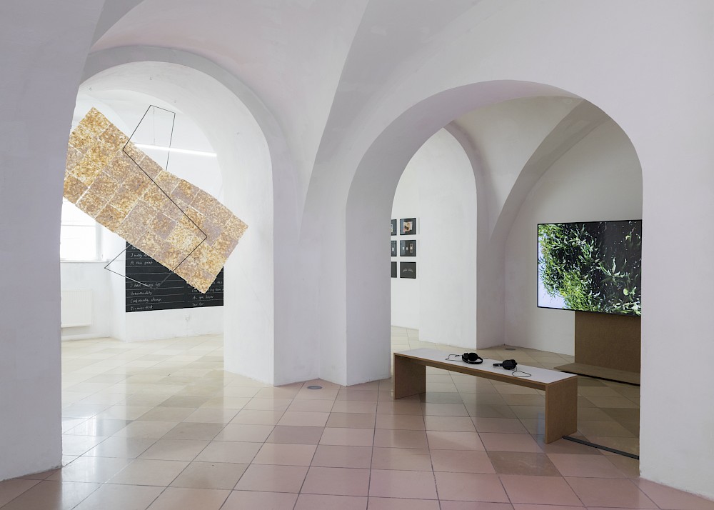 These questions pursue me as much as I pursue them