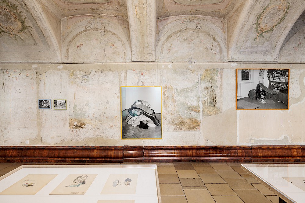 to display, to support, to care