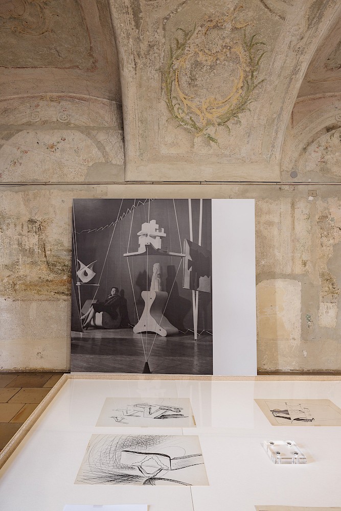 to display, to support, to care