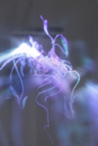 Roots and Spirit